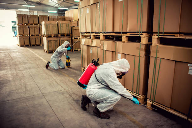 Best Pest Control Treatment  in Boston, GA