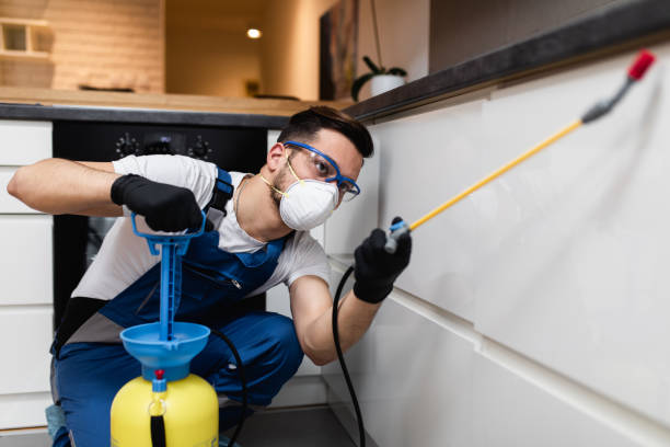 Best Affordable Pest Control Services  in Boston, GA