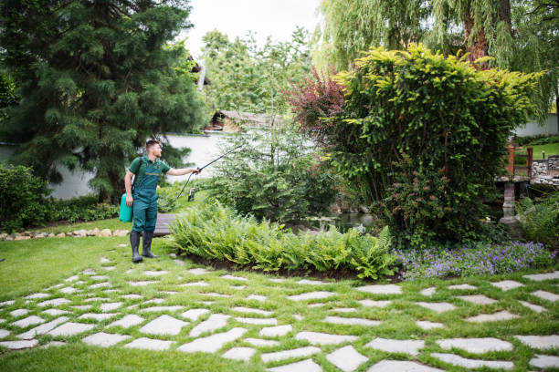 Best Affordable Pest Control Services  in Boston, GA