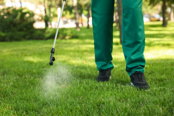Best Mosquito Control Services  in Boston, GA