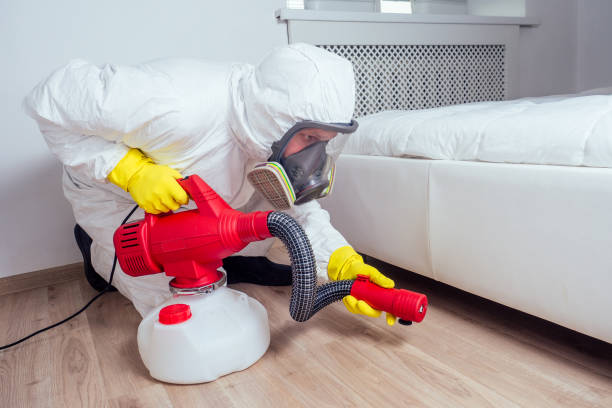 Best Exterminator Services  in Boston, GA