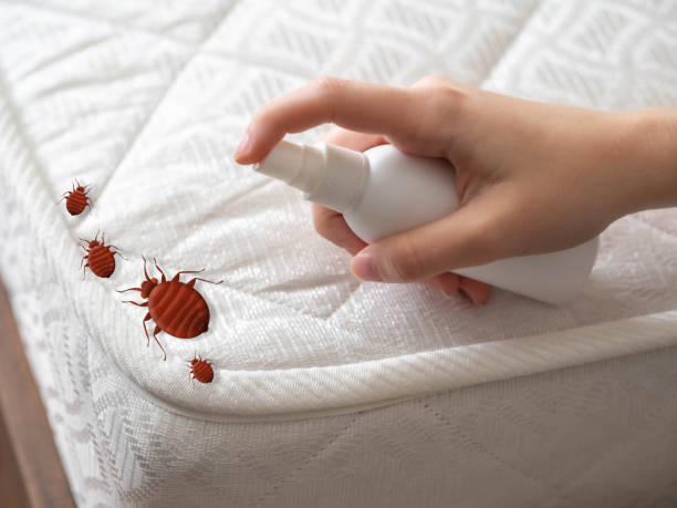 Best Pest Removal Services  in Boston, GA