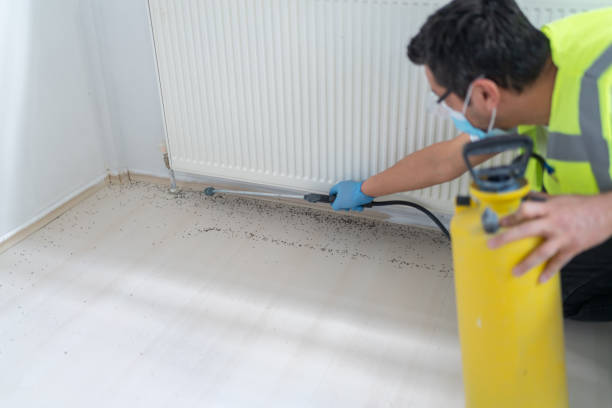 Best Best Pest Control Near Me  in Boston, GA
