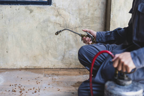 Best Wasp Removal Services  in Boston, GA